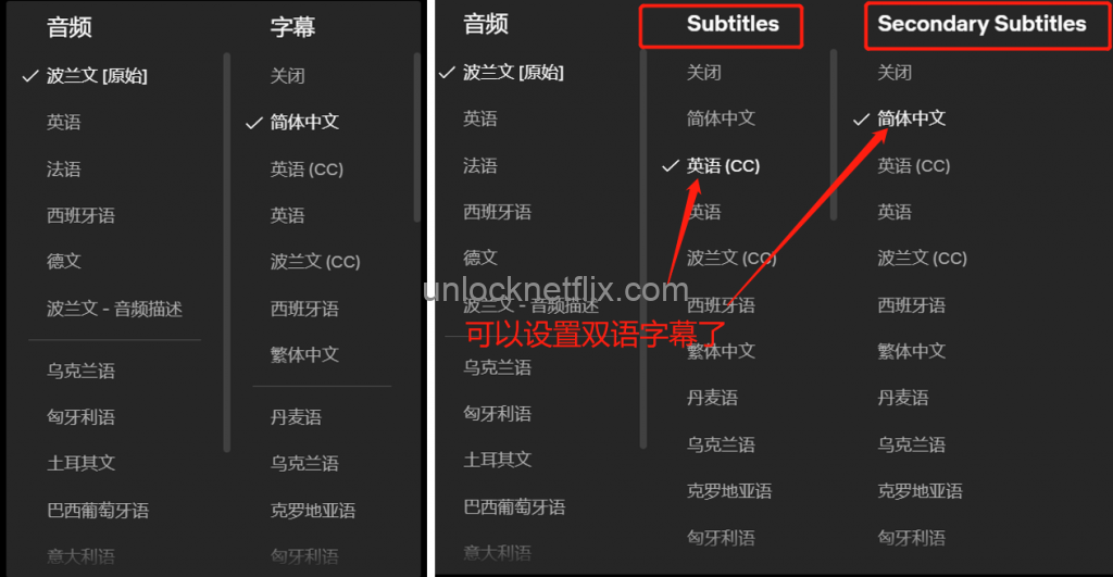 Netflix如何设置双语字幕, 同时拥有Netflix中文字幕及Netflix英文字幕